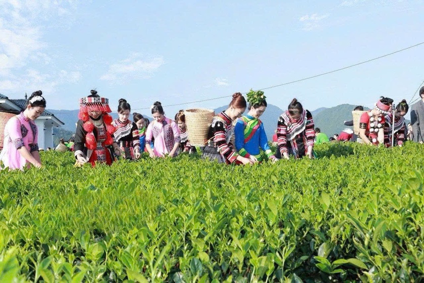 Lễ hội “Thái Nguyên - Hương sắc danh trà” - Ảnh 3.