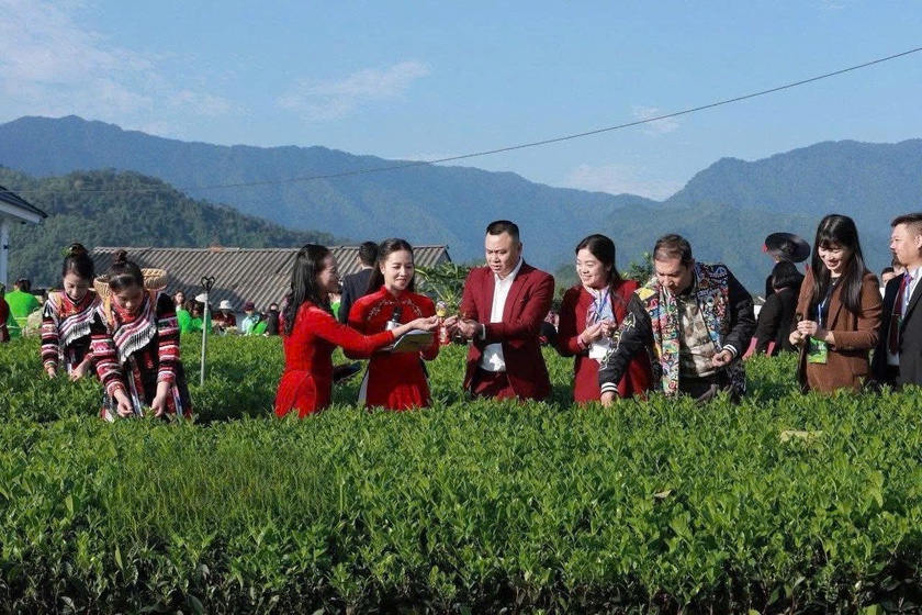 Lễ hội “Thái Nguyên - Hương sắc danh trà” - Ảnh 4.