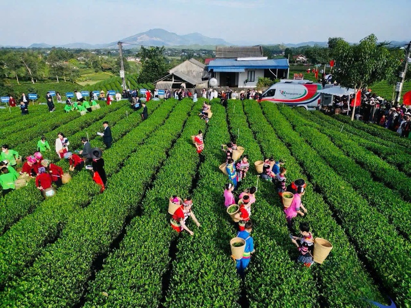 Lễ hội “Thái Nguyên - Hương sắc danh trà” - Ảnh 1.