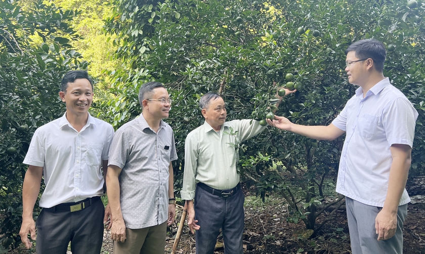 Nghệ An giao chỉ ti&ecirc;u bồi dưỡng kiến thức d&acirc;n tộc cho c&aacute;n bộ, c&ocirc;ng chức, vi&ecirc;n chức - Ảnh 3.