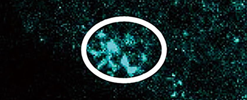 Tại sao c&oacute; hạt vi nhựa trong cơ thể người? - Ảnh 2.