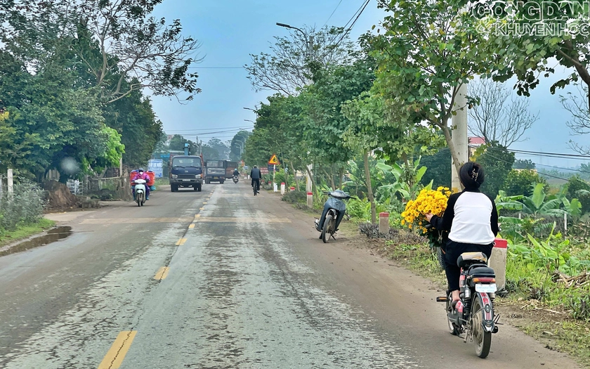 Bộ ti&ecirc;u ch&iacute; quốc gia về n&ocirc;ng th&ocirc;n mới giai đoạn 2026-2030 - Ảnh 1.