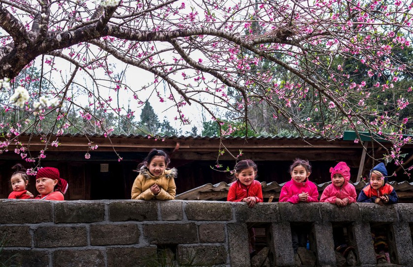 Thủ tướng chỉ đạo tổ chức Tết B&iacute;nh Ngọ 2026 vui tươi, an to&agrave;n, tiết kiệm - Ảnh 1.