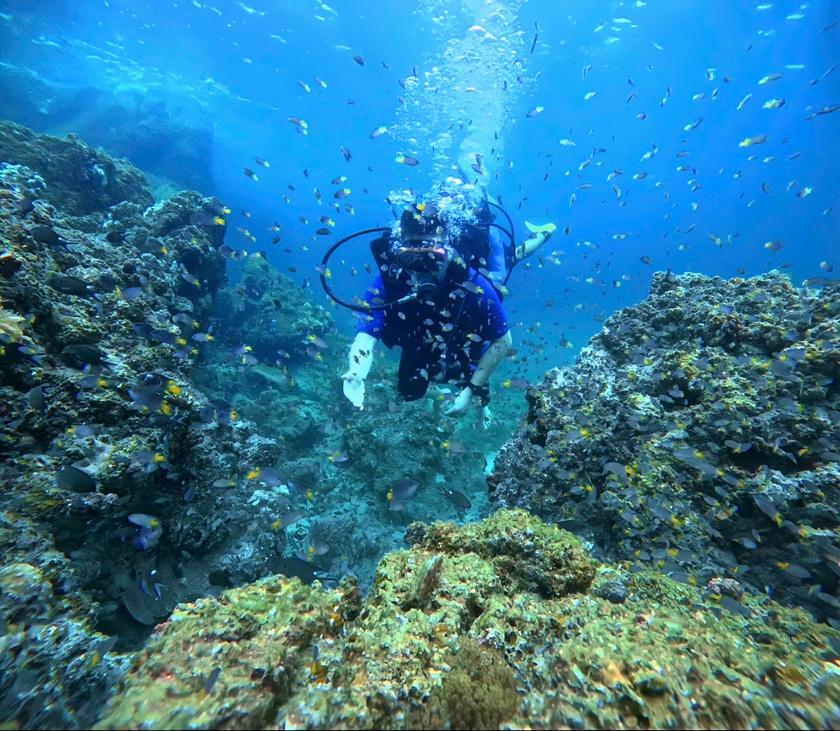 Quảng Ninh thành lập Khu bảo tồn biển Cô Tô - Đảo Trần - Ảnh 4.