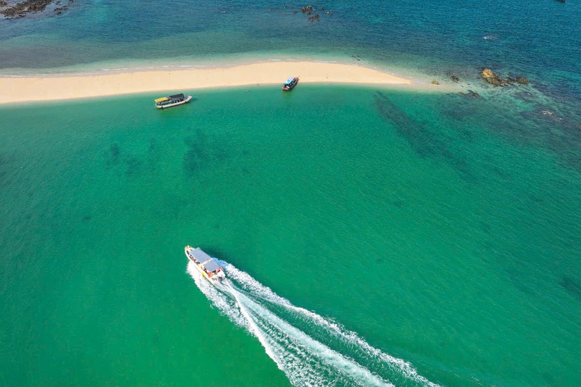 Quảng Ninh thành lập Khu bảo tồn biển Cô Tô - Đảo Trần - Ảnh 2.