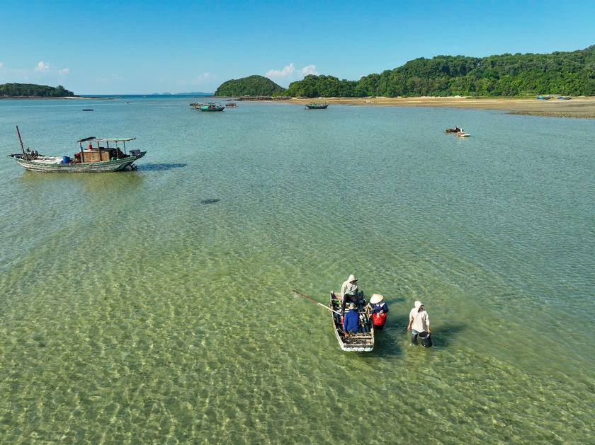 Quảng Ninh thành lập Khu bảo tồn biển Cô Tô - Đảo Trần - Ảnh 3.