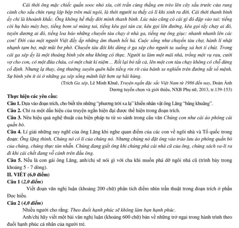 Đề thi Ngữ văn: Những trở ngại trong hành trình theo đuổi hạnh phúc của người trẻ - Ảnh 2.