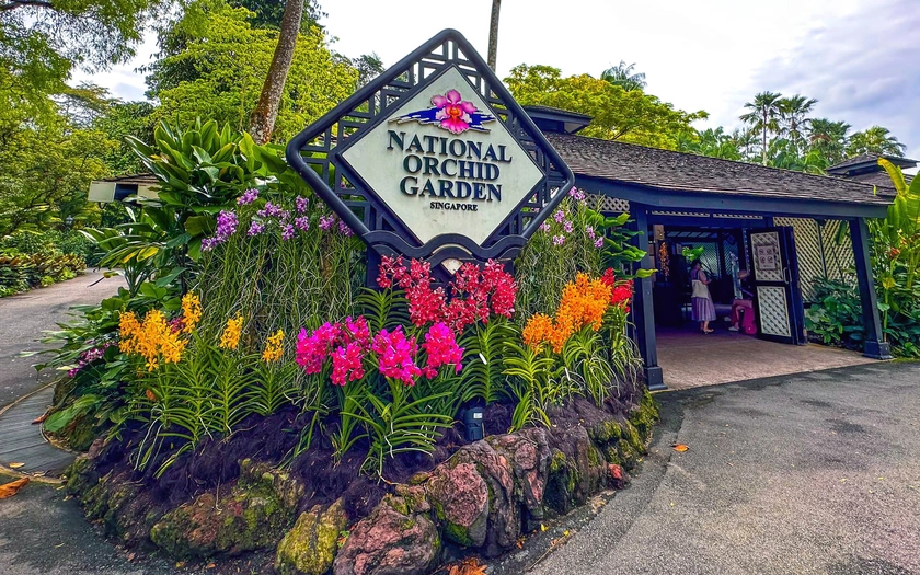 Những loài lan tuyệt đẹp trong National Orchid Gardens của Singapore - Ảnh 1.