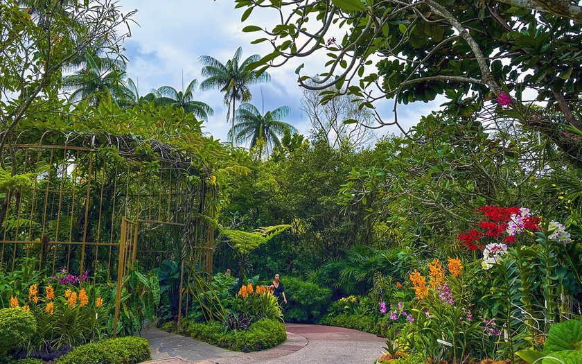 Những loài lan tuyệt đẹp trong National Orchid Gardens của Singapore - Ảnh 14.