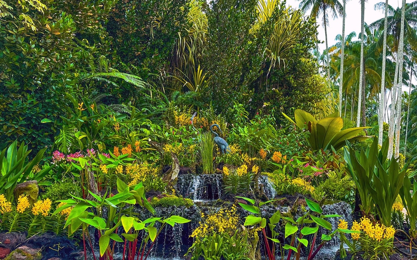 Những loài lan tuyệt đẹp trong National Orchid Gardens của Singapore - Ảnh 20.