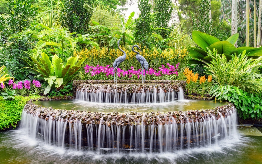 Những loài lan tuyệt đẹp trong National Orchid Gardens của Singapore - Ảnh 4.