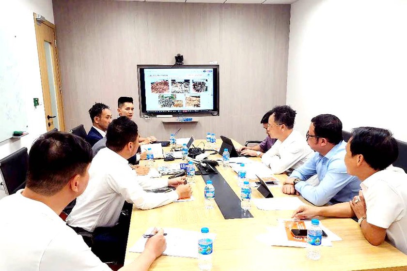 Nhật Bản xúc tiến xây dựng nhà máy điện sinh khối đầu tiên tại Lào Cai - Ảnh 1.