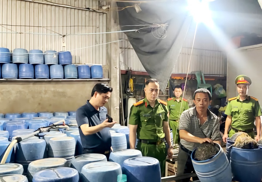 Lào Cai: Thu giữ 6,6 tấn giá đỗ ngâm ủ hóa chất độc hại- Ảnh 1. Lào Cai: Thu giữ 6,6 tấn giá đỗ ngâm ủ hóa chất độc hại- Ảnh 1.