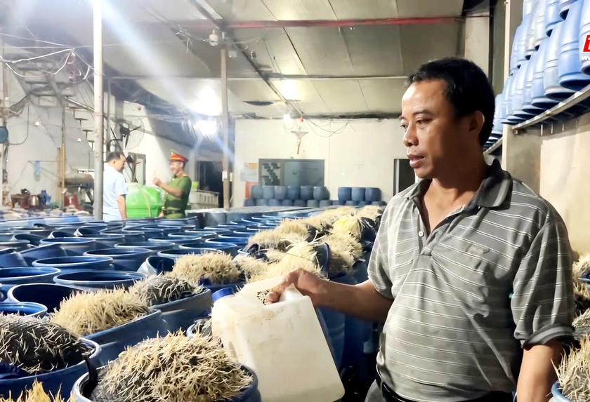 Lào Cai: Thu giữ 6,6 tấn giá đỗ ngâm ủ hóa chất độc hại- Ảnh 5. Lào Cai: Thu giữ 6,6 tấn giá đỗ ngâm ủ hóa chất độc hại- Ảnh 5.