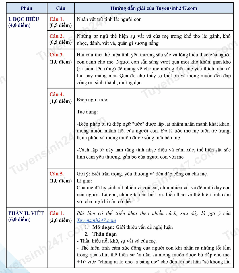 Gợi ý đáp án môn Ngữ văn thi vào lớp 10 Trường Trung học phổ thông chuyên Khoa học Tự nhiên - Ảnh 4.