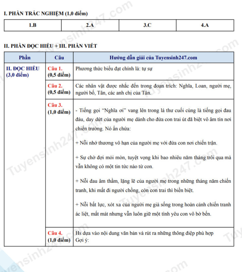 Gợi ý đáp án môn Ngữ văn thi vào lớp 10 Trường Trung học phổ thông chuyên Khoa học Tự nhiên - Ảnh 6.