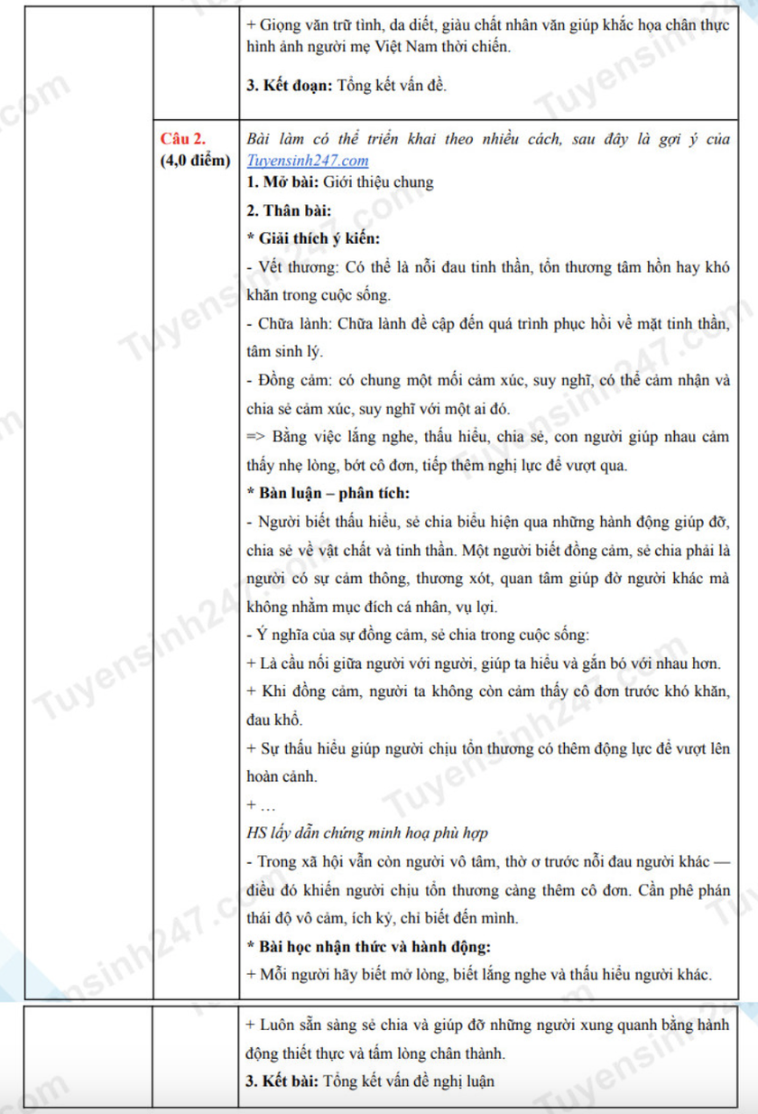 Gợi ý đáp án môn Ngữ văn thi vào lớp 10 Trường Trung học phổ thông chuyên Khoa học Tự nhiên - Ảnh 8.