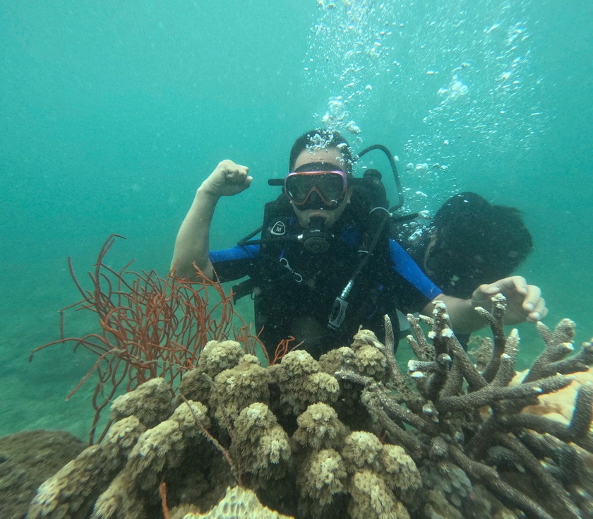 Lặn biển ở huyện đảo Cô Tô, tỉnh Quảng Ninh, trải nghiệm hút du khách - Ảnh 5.