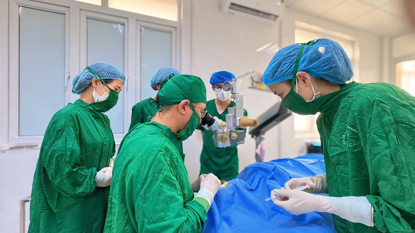 Hơn 650 chuyên gia nhãn khoa dự Hội nghị Dịch kính võng mạc tại Hải Phòng - Ảnh 5.