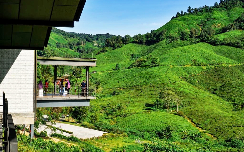 Du lịch Việt Nam tháng 7 với các điểm nhấn Nha Trang, Đà Nẵng, Hội An - Ảnh 7.
