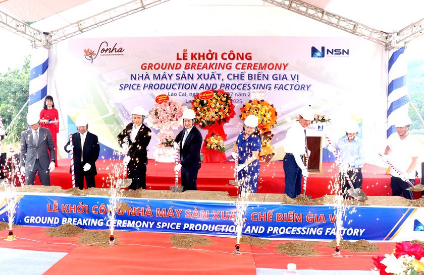 Xây dựng nhà máy chế biến quế, công suất 50 tấn vỏ quế tươi/ngày tại xã Bảo Ái (Lào Cai) - Ảnh 1.