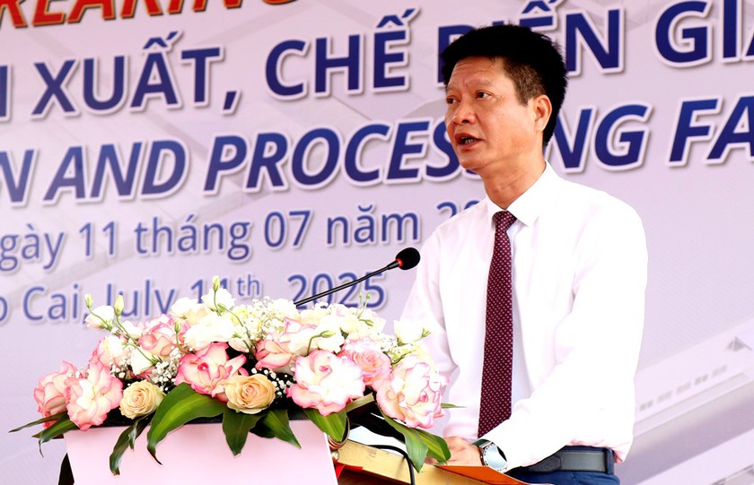 Xây dựng nhà máy chế biến quế, công suất 50 tấn vỏ quế tươi/ngày tại xã Bảo Ái (Lào Cai) - Ảnh 2.