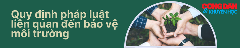 Bảo vệ môi trường bằng nhiều biện pháp hiệu quả - Ảnh 2.
