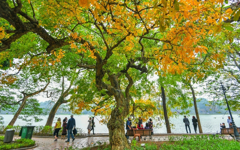 Hà Nội - điểm đến hàng đầu châu Á với tháng 8 mùa thu quyến rũ - Ảnh 1.