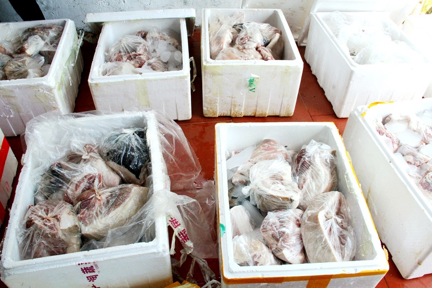Tiêu huỷ hơn 400kg thịt lợn bốc mùi hôi thối - Ảnh 2.