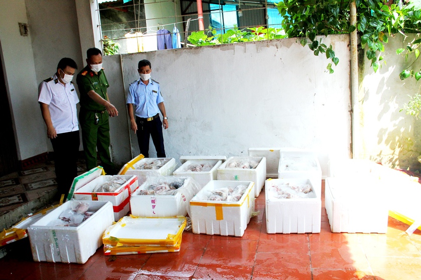 Tiêu huỷ hơn 400kg thịt lợn bốc mùi hôi thối - Ảnh 1.