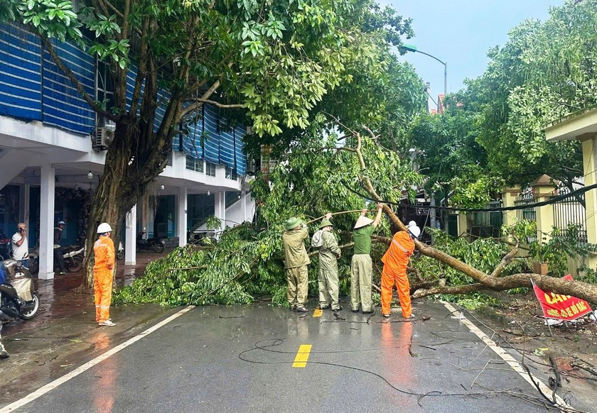 Điện lực Lào Cai khôi phục lưới điện cho 370 khách hàng sau giông lốc bất ngờ do bão Wipha - Ảnh 1.