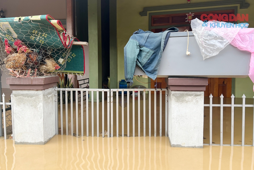 Người dân oặn mình lội nước bên bờ sông Lam ngập lụt - Ảnh 8.
