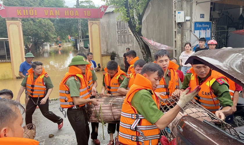 Chạy đua trong đêm lũ cứu đàn lợn 21 con vừa chào đời- Ảnh 8.