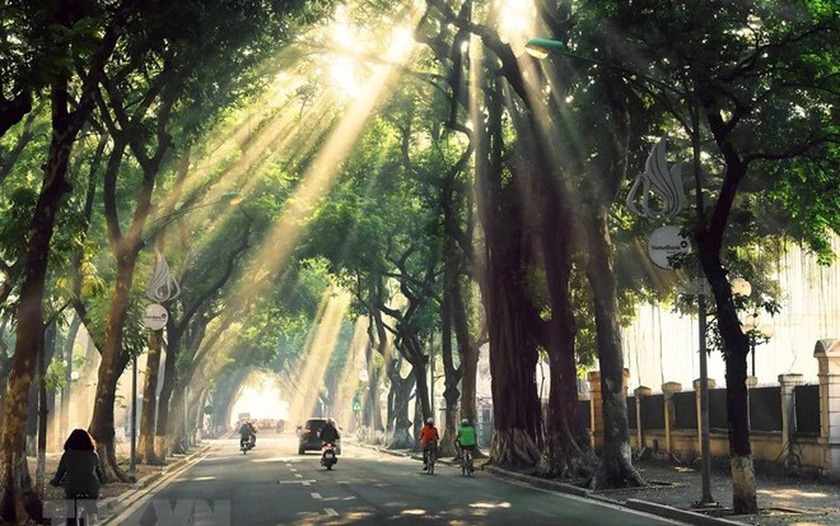 Một góc phố tràn ngập cây xanh Hà Nội. Ảnh minh hoạ: IT