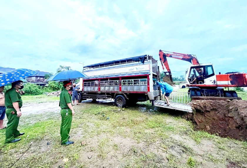 Thu giữ xe chở 5 con lợn dịch mang đi bán ở Lào Cai - Ảnh 3.