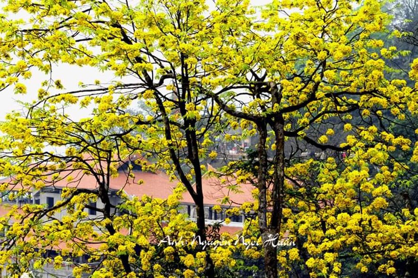 Những giá trị cốt lõi đưa Yên Tử vươn tầm thế giới - Ảnh 12.