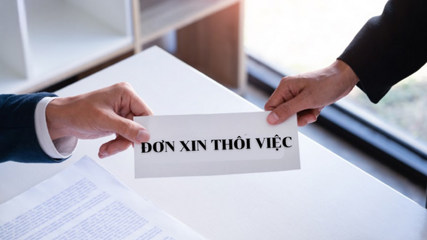 Quy định chế độ, chính sách với công chức tự nguyện xin thôi việc hoặc bị cho thôi việc - Ảnh 1.