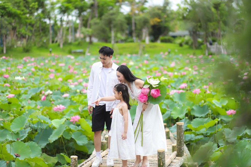 Không còn là tin đồn: từ 4/7, Hạ Long tổ chức “đại tiệc pháo hoa” mỗi cuối tuần - Ảnh 4.