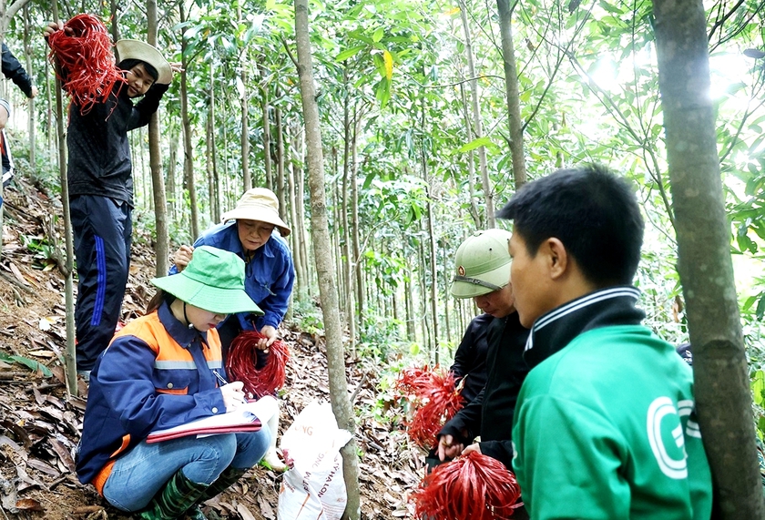 Lào Cai lập 2 tổ công tác chuyên về đất đai để đẩy nhanh giải phóng mặt bằng tuyến đường sắt tốc độ cao - Ảnh 4.
