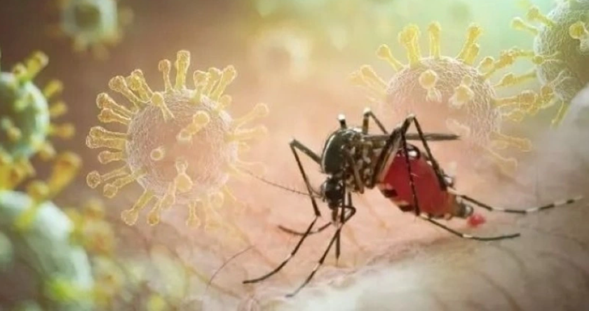 Cách phòng và điều trị bênh Chikungunya - Ảnh 1.
