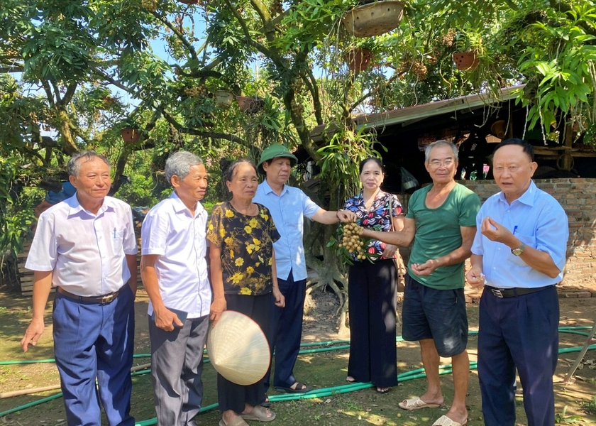 Tự học làm nông nghiệp - câu chuyện thoát nghèo từ vườn nhãn "cùi cổ" ở Tân Hưng - Ảnh 2.