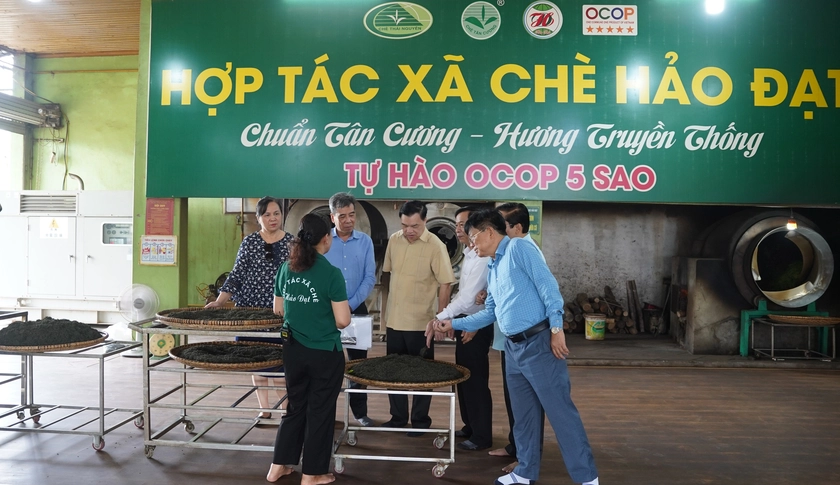 Khuyến học – Tự học thành tài: khảo sát công trình ống diệt men chè ở Thái Nguyên - Ảnh 7.