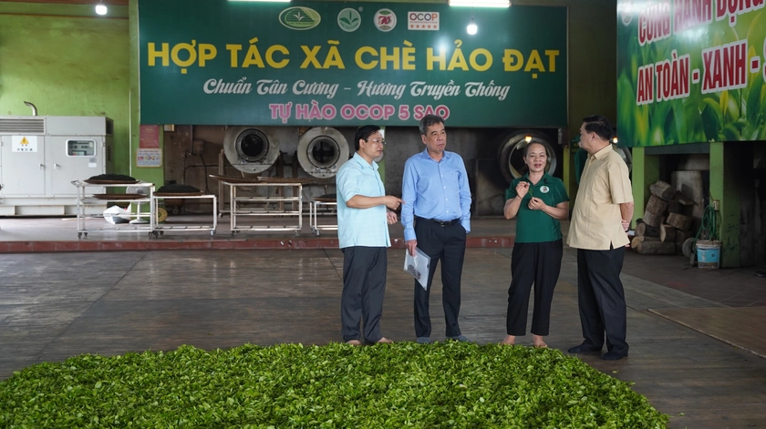 Khuyến học – Tự học thành tài: khảo sát công trình ống diệt men chè ở Thái Nguyên - Ảnh 9.