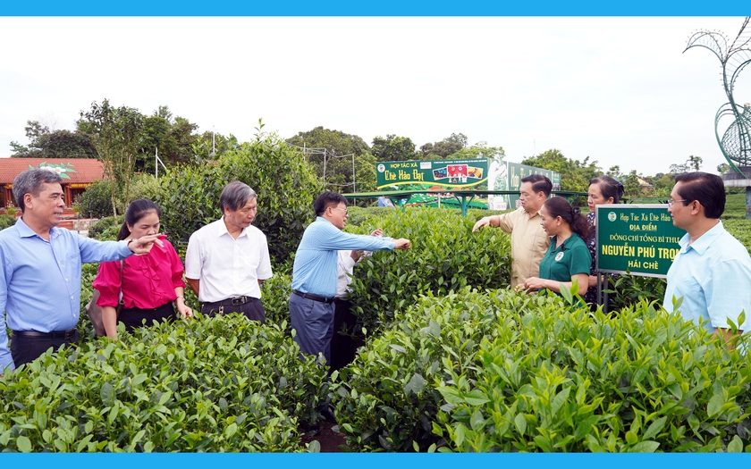Khuyến học – Tự học thành tài: khảo sát công trình ống diệt men chè ở Thái Nguyên - Ảnh 1.