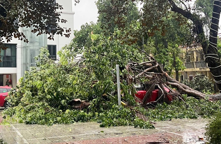 Bão đang đổ bộ vào Nghệ An, nước biển dâng cao ngập được Cửa Lò - Ảnh 9.