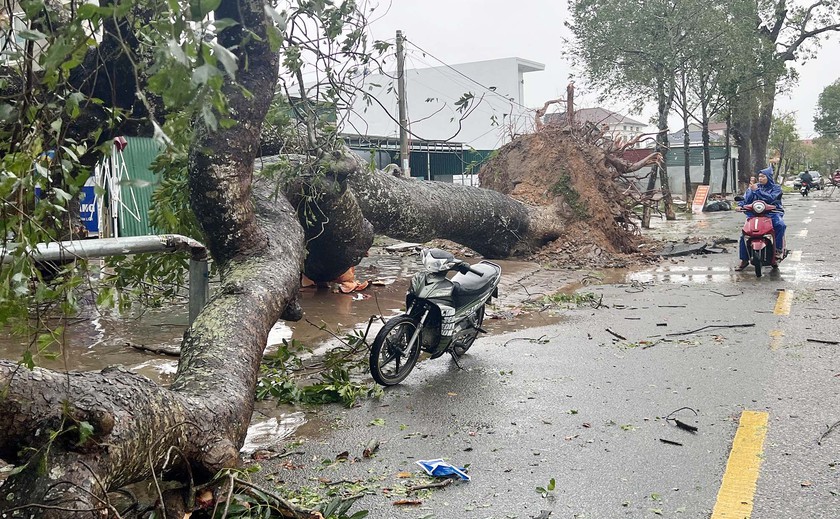 Sức tàn phá khủng khiếp bão số 5 đổ bộ vào Nghệ An - Ảnh 8.