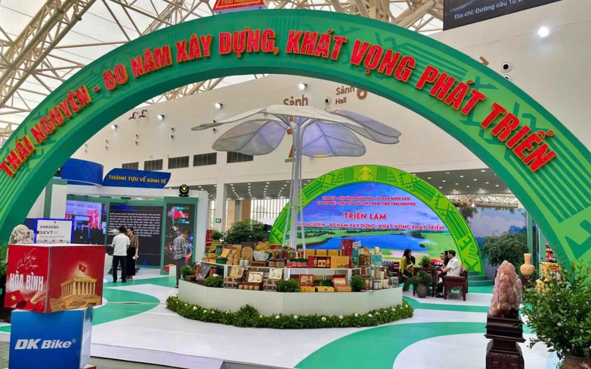 Thái Nguyên tại Triển lãm quốc gia 80 năm Quốc khánh: Hành trình tự hào và khát vọng vươn lên - Ảnh 1.