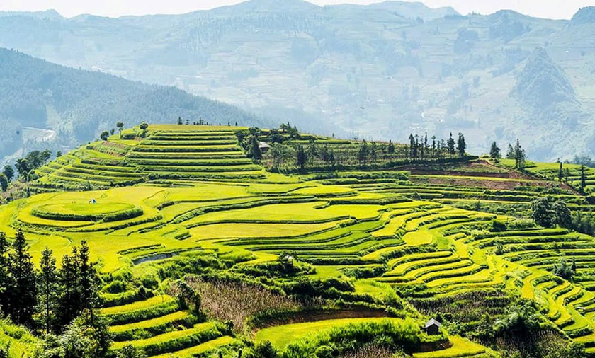 Khai hội “Nghiêng say mùa Thu" vào tối 30/8 tại Bắc Hà - Lào Cai - Ảnh 7.