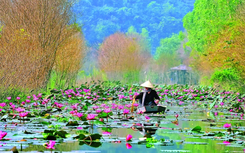 Việt Nam - điểm đến đột phá mùa hè 2025 - Ảnh 3.