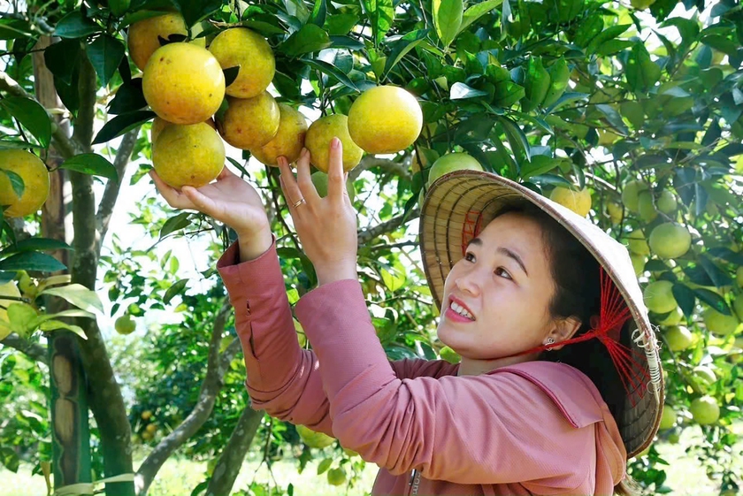 Diễn đàn kết nối, tiêu thụ nông sản Bắc Trung Bộ trao 25 tấn gạo đến người dân vùng lũ Nghệ An - Ảnh 3.